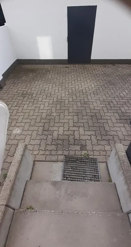 Steinreinigung Altwarmbüchen durch Steinbotschafter: Das Bild zeigt eine verschmutzte Einfahrt mit Algenbewuchs vor der professionellen Säuberung