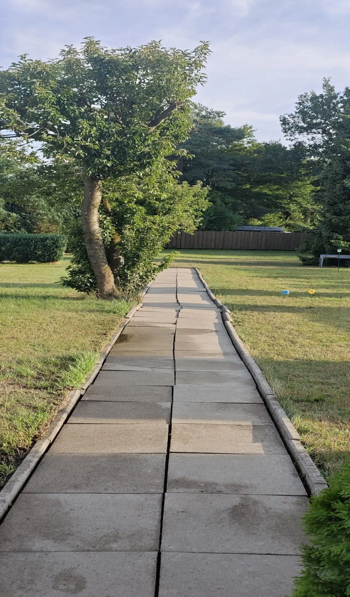 Sauberer Gehweg in Langenhagen nach der Steinreinigung und Unkrautentfernung durch Steinbotschafter