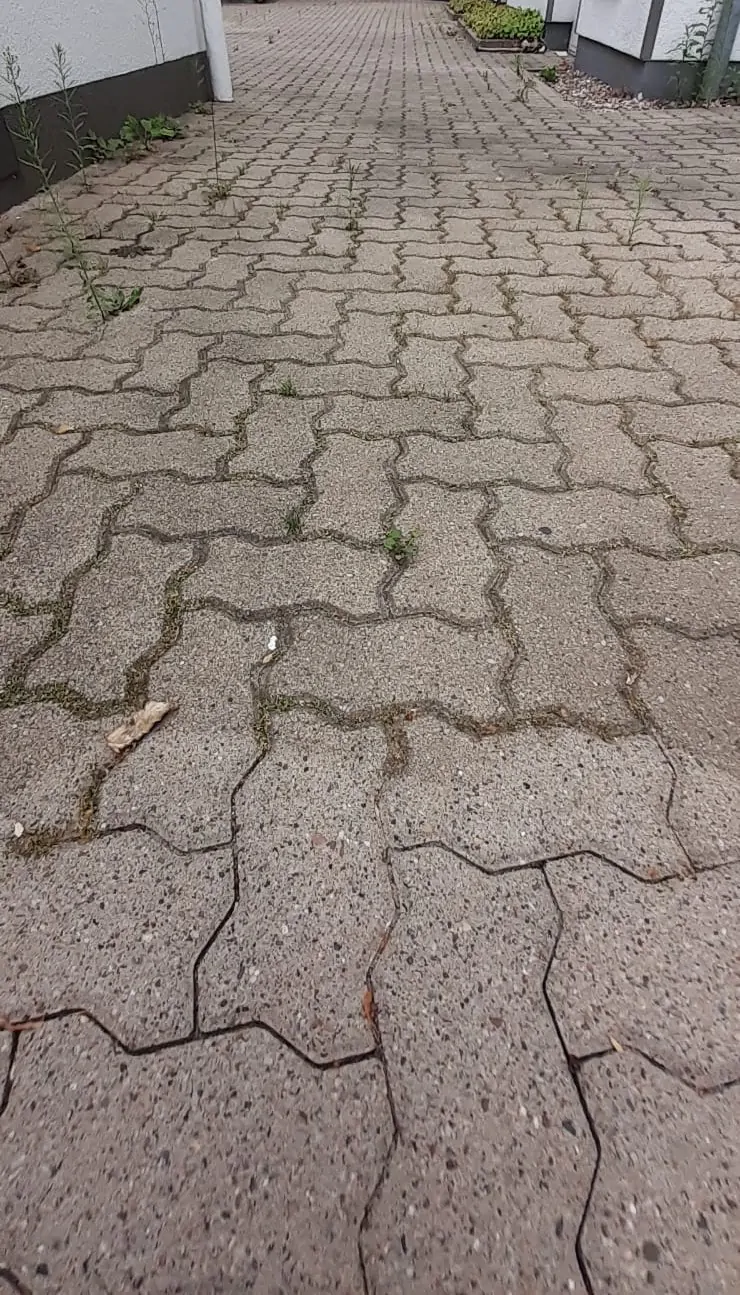 Steinreinigung Region Hannover: Sichtbarer Reinigungserfolg auf Verbundpflaster durch das Steinbotschafter-Team – Kontrast zwischen sauberer und verwitterter Fläche